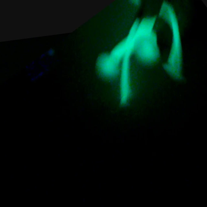 Video of Oogi GLOW figures by MOLUK playing in the dark, their glowing silicone bodies stretching, sticking, and connecting.