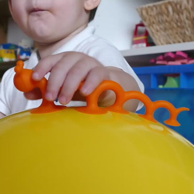 Video showing Oogi Pilla by MOLUK, a flexible orange silicone creature with suction cups,  stretching, sticking to smooth surfaces, wiggling like a caterpillar, and used as a sensory fidget toy.